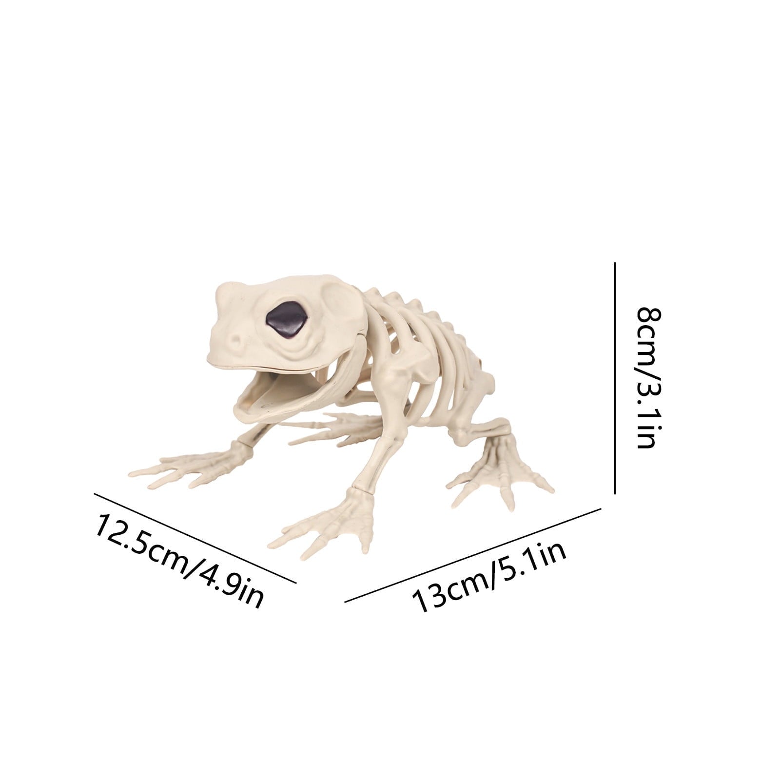 amlbb Halloween Decoration Halloween Skeleton Horror Decorations Simulation Animals Skeleton Ornaments Bar Decoration Frogs Skeleton on Clearance