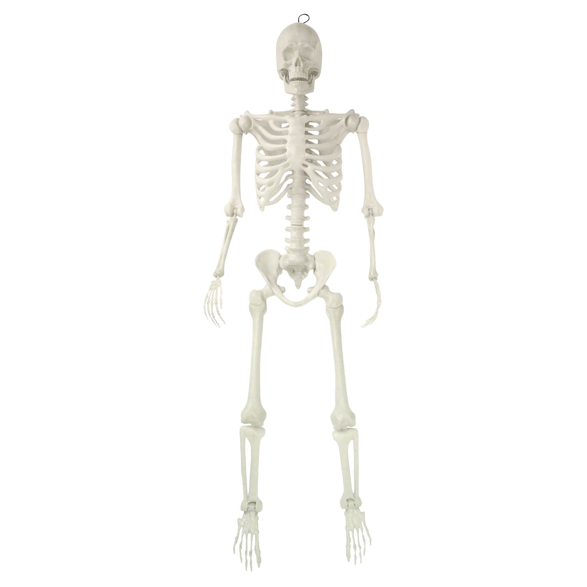 Hanging Posable Skeleton Decoration, White, 5', Halloween by Way To Celebrate