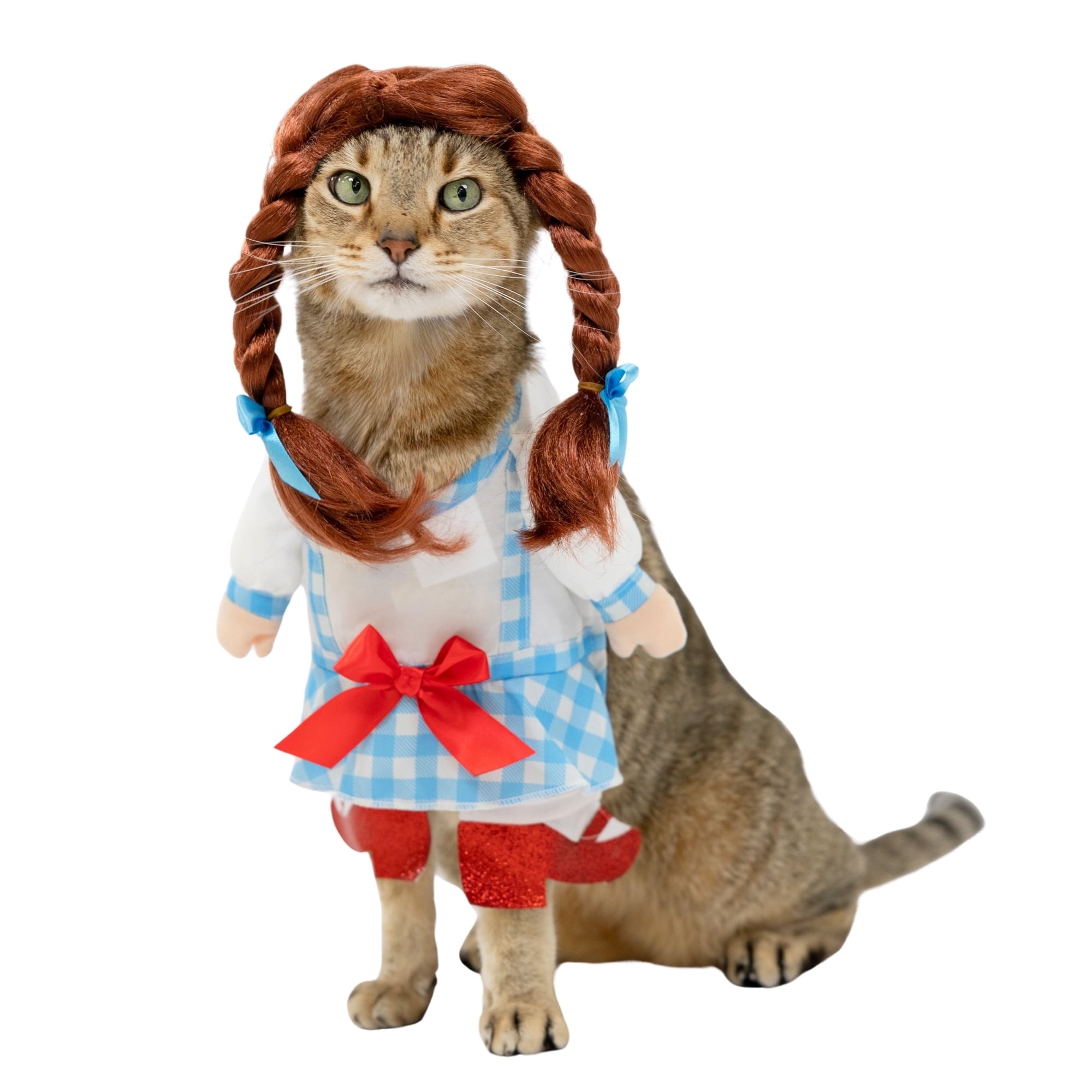 Vibrant Life Halloween Gingham Girl Costume for Dogs and Cats, Small