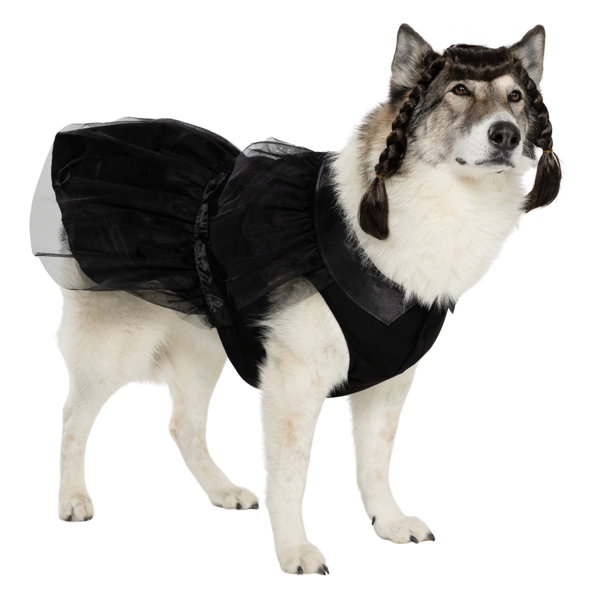 Vibrant Life Halloween Gothic Girl Costume for Dogs, Black, Large