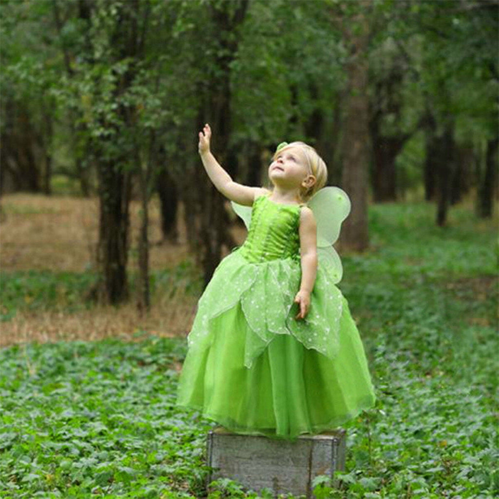 HAWEE Flowers Fairy Costume for Girls Toddler Halloween Birthday Party Fairy Elf Dress up with Wings