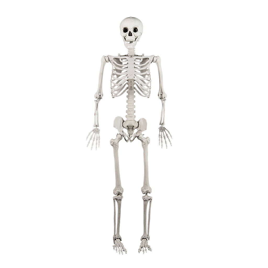 Costway 5.4ft Halloween Christmas Skeleton Life Size Realistic Full Body Hanging with Movable Joints 63 Inches