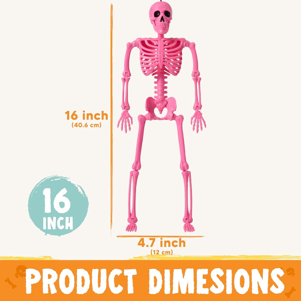Joyfy 5 Pcs Halloween Skeleton Decorations,16 inch Full Body Poseable Skeleton with Movable Joints for Halloween Indoor Outdoor Party,Graveyard,Haunted House Accessories,White