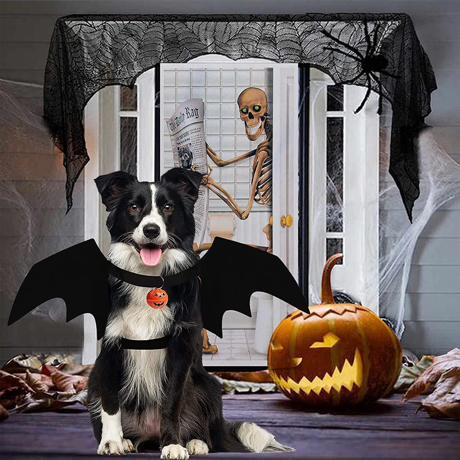 Halloween Dog Bat Wings Pet Costume for Halloween Party Decorations, Cute Puppy Dog and Cat Collar Bat Wings with Pumpkin Bells Cosplay Party (X-Large)