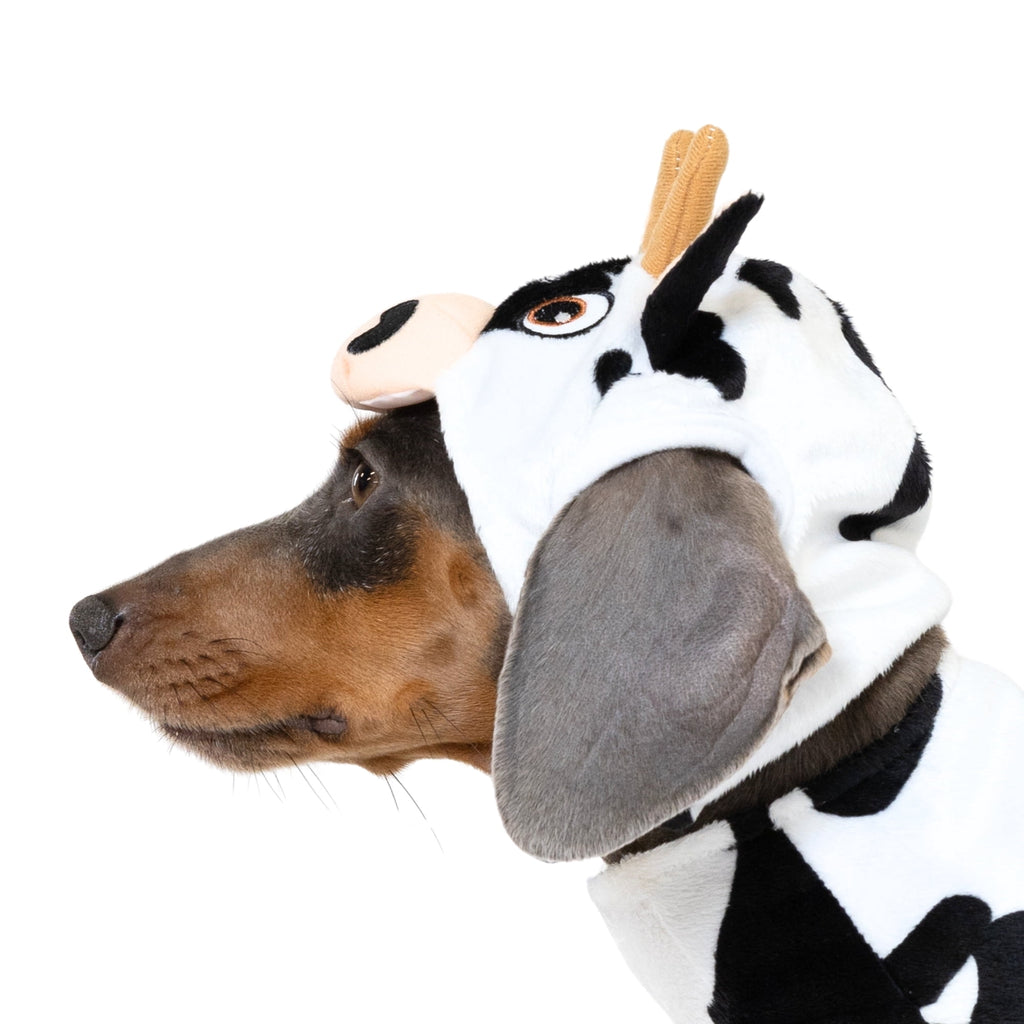 Vibrant Life Halloween Costume for Dogs & Cats, Cow, Black & White, Extra Small
