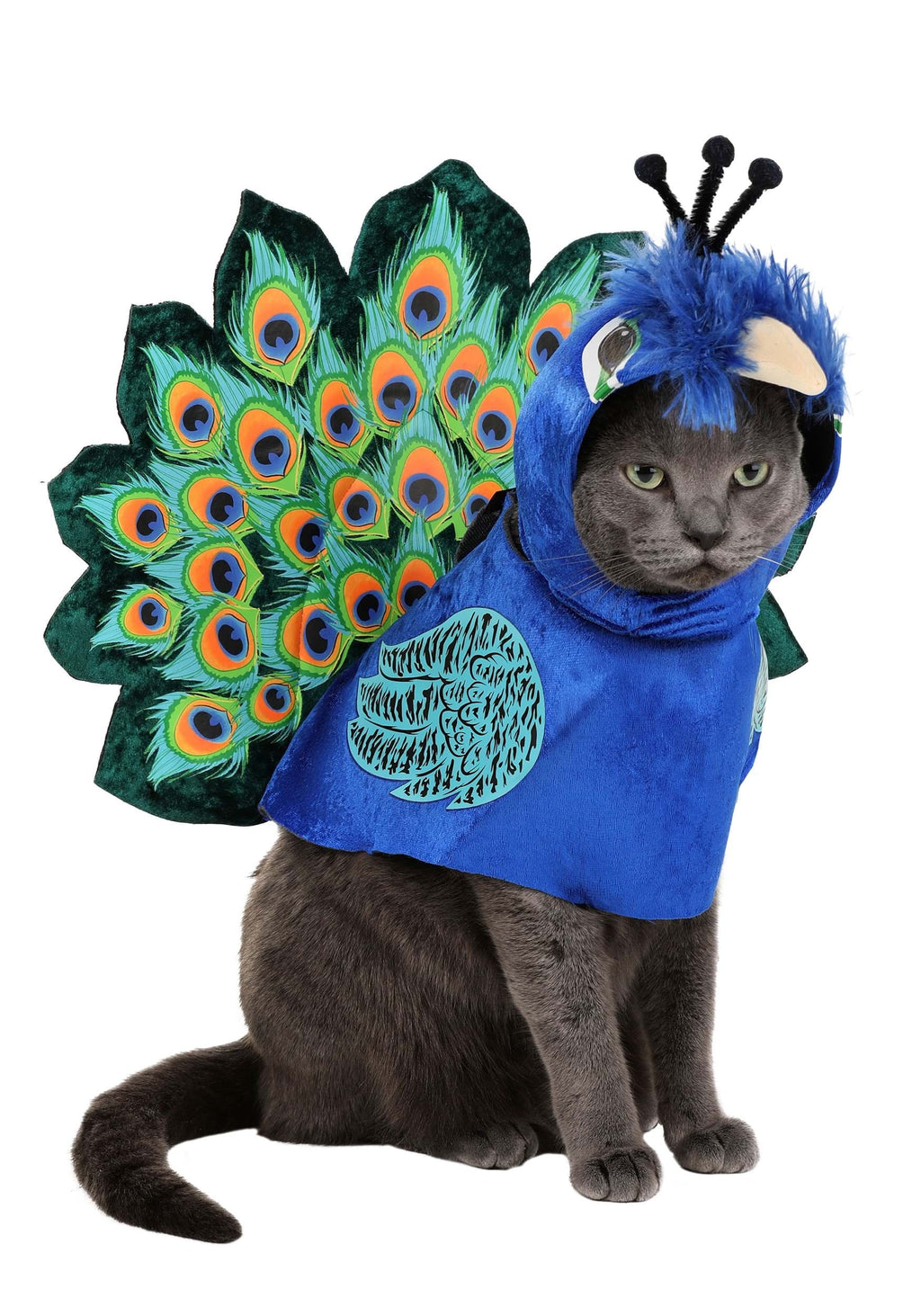 Pretty as a Peacock Pet Costume