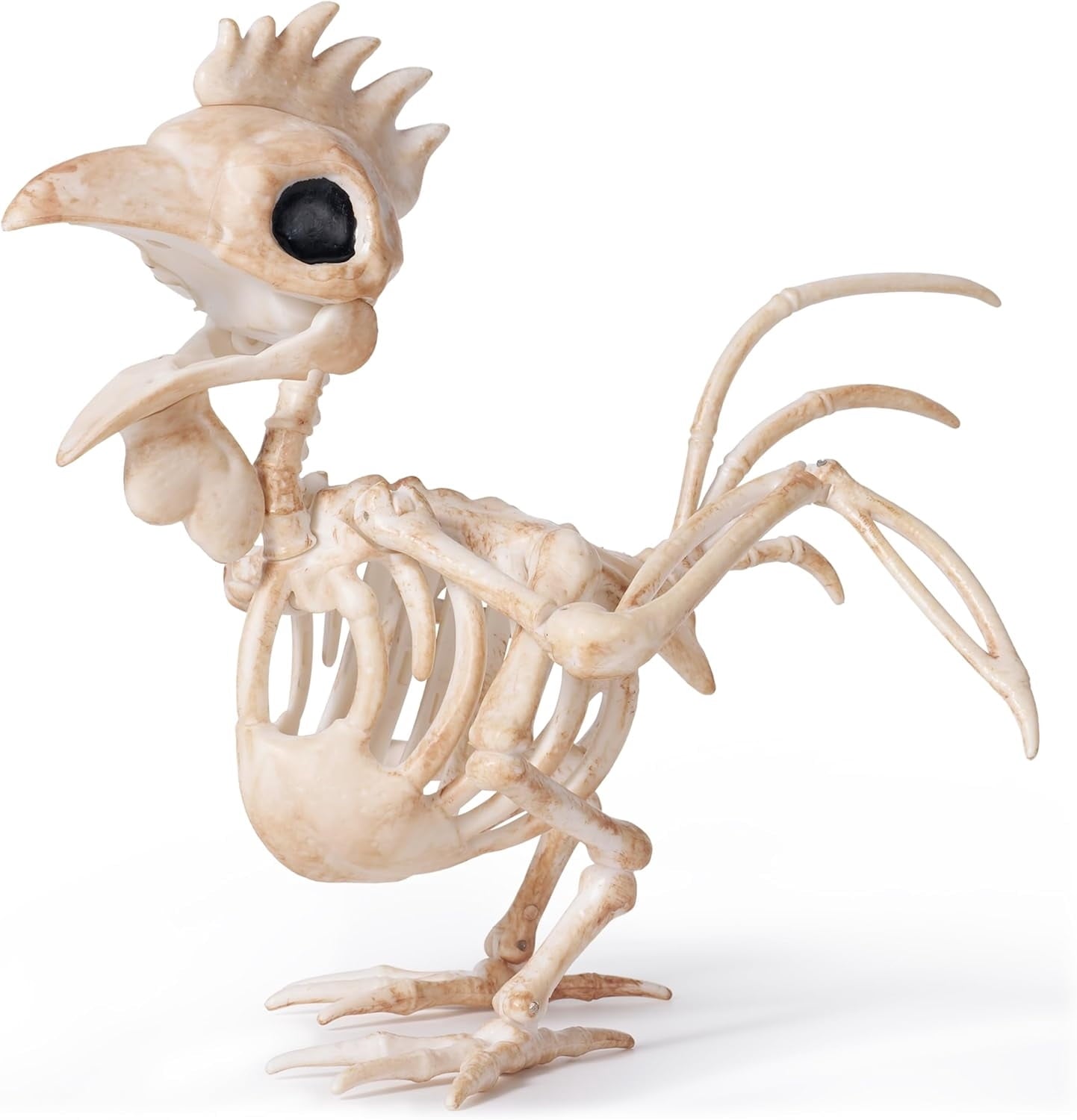 Joyfy 2 Pcs Duck Skeleton Halloween Decoration,4.5 Inch Posable Plastic Animals Halloween Skeleton for Indoor Outdoor Halloween Decorations,Haunted House Party Props