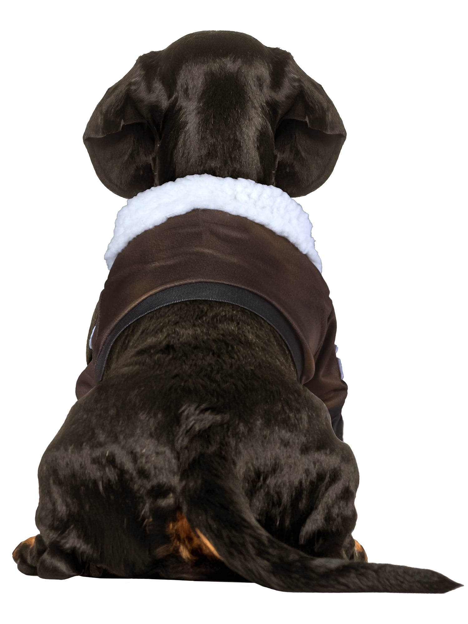 Top Gun Pet Costume for Dogs or Cats by Rubies, XS