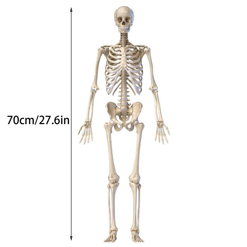 Ruziyoog Halloween Skeleton Ghosts Grim Reapers for Halloween Decorations