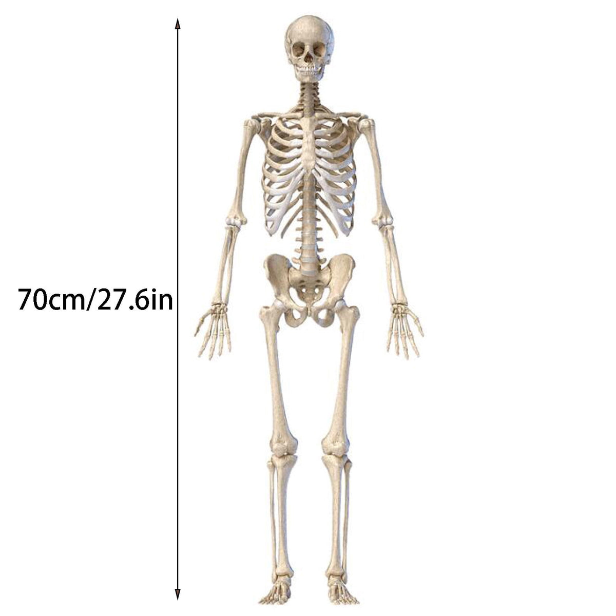 Ruziyoog Halloween Skeleton Ghosts Grim Reapers for Halloween Decorations