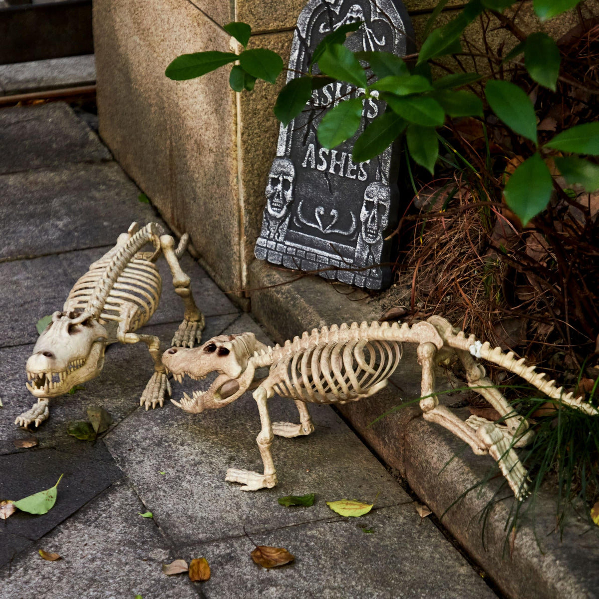 Joyfy Halloween Skeleton Fish Skeleton Halloween Decor,Plastic Skeleton with LED Eye for Halloween Decoration Outdoor Haunted House Party