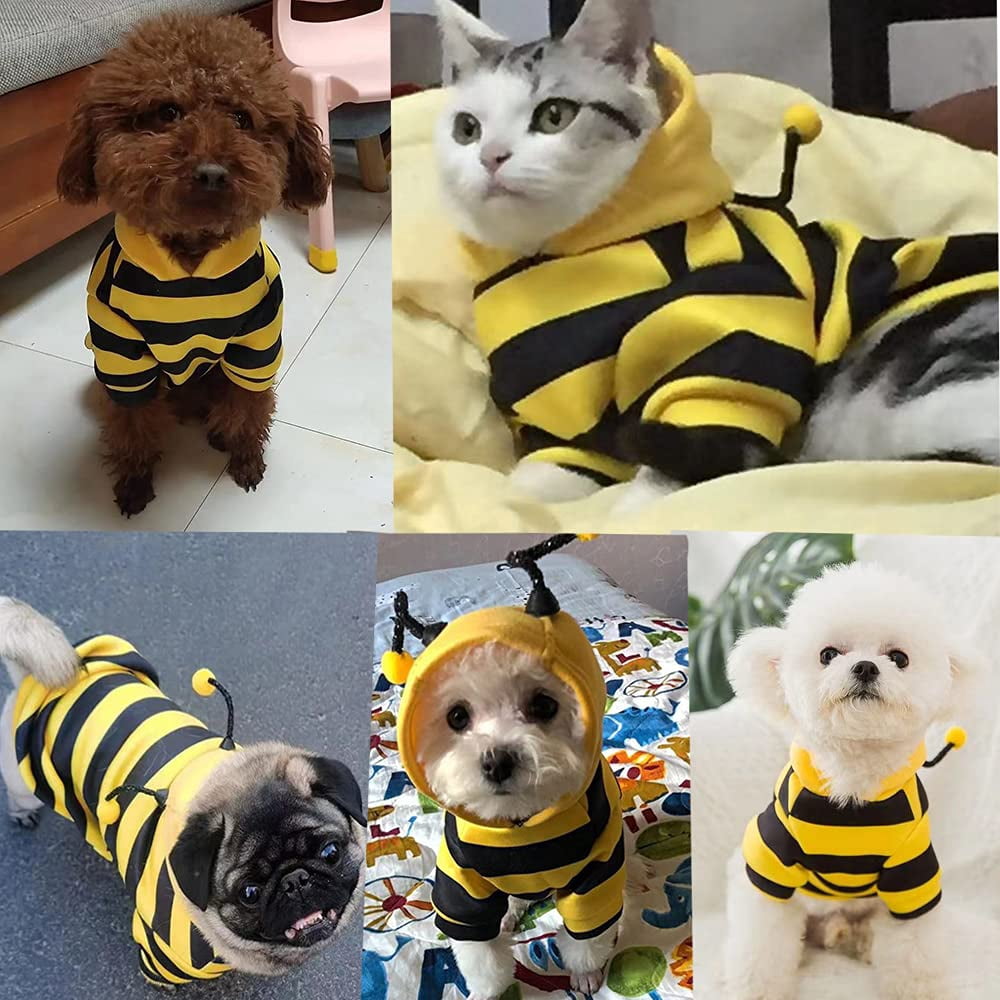 WILLED Pet Bee Halloween Costume, Dog Hoodies for Cats and Small Dogs, Holiday Cosplay Warm Clothes, Cute Puppy Christmas Outfits
