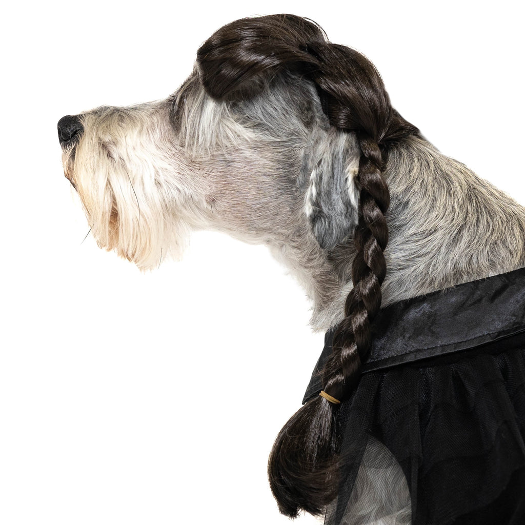 Vibrant Life Halloween Gothic Girl Costume for Dogs, Black, Large