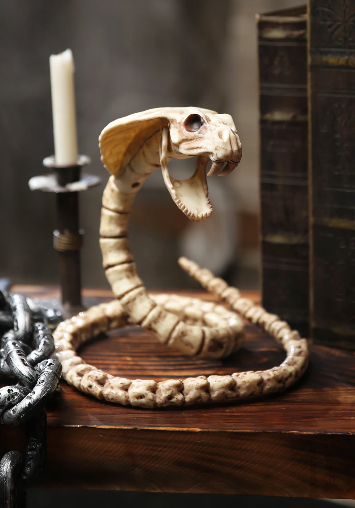Official Crazybonez Faux Parrot Skeleton