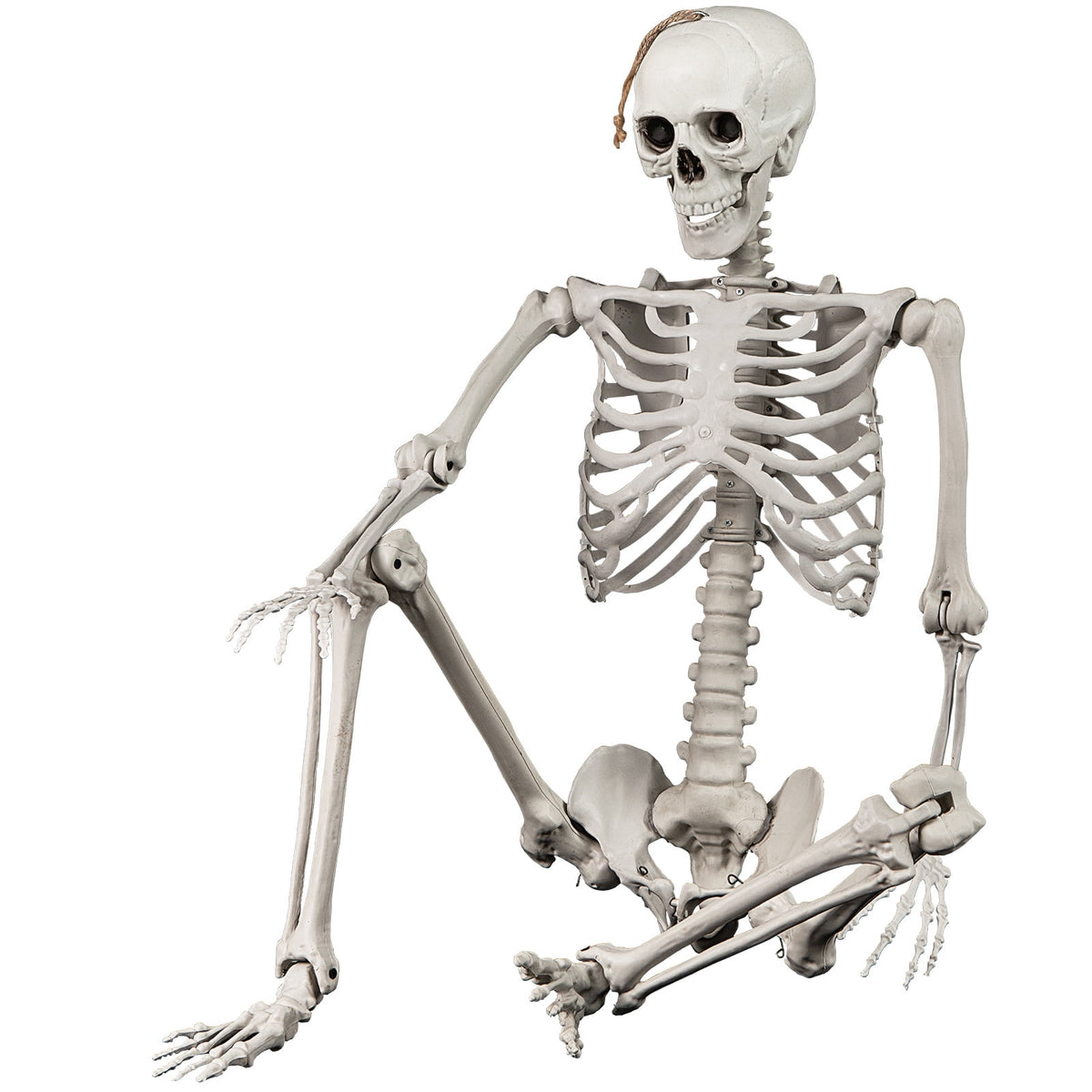 Costway 5.4ft Halloween Christmas Skeleton Life Size Realistic Full Body Hanging with Movable Joints 63 Inches