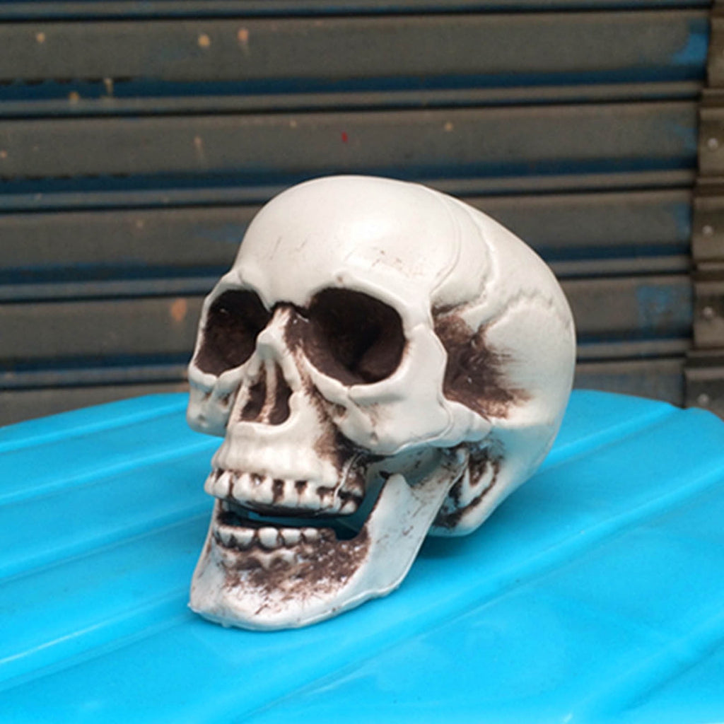 Darzheoy Halloween Skull Model Realistic Fake Simulation Human Skull Head Model Halloween Prop Realistic Mini Skeleton Spooky Halloween Decoration