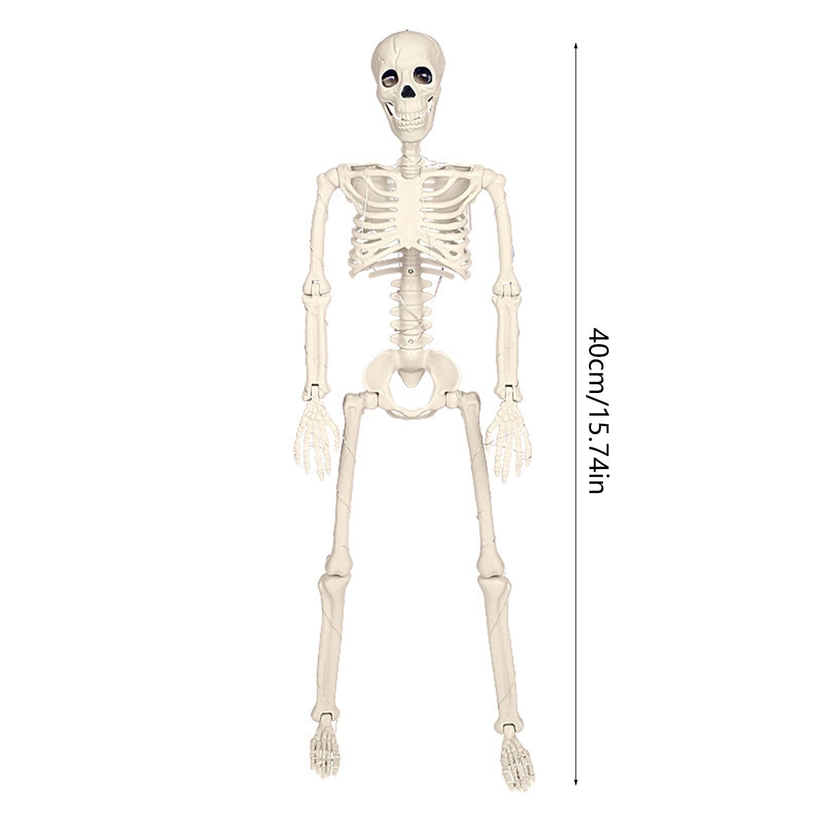 amlbb Halloween Decoration Halloween Skeleton Horror Decorations Simulation Animals Skeleton Ornaments Bar Decoration Frogs Skeleton on Clearance