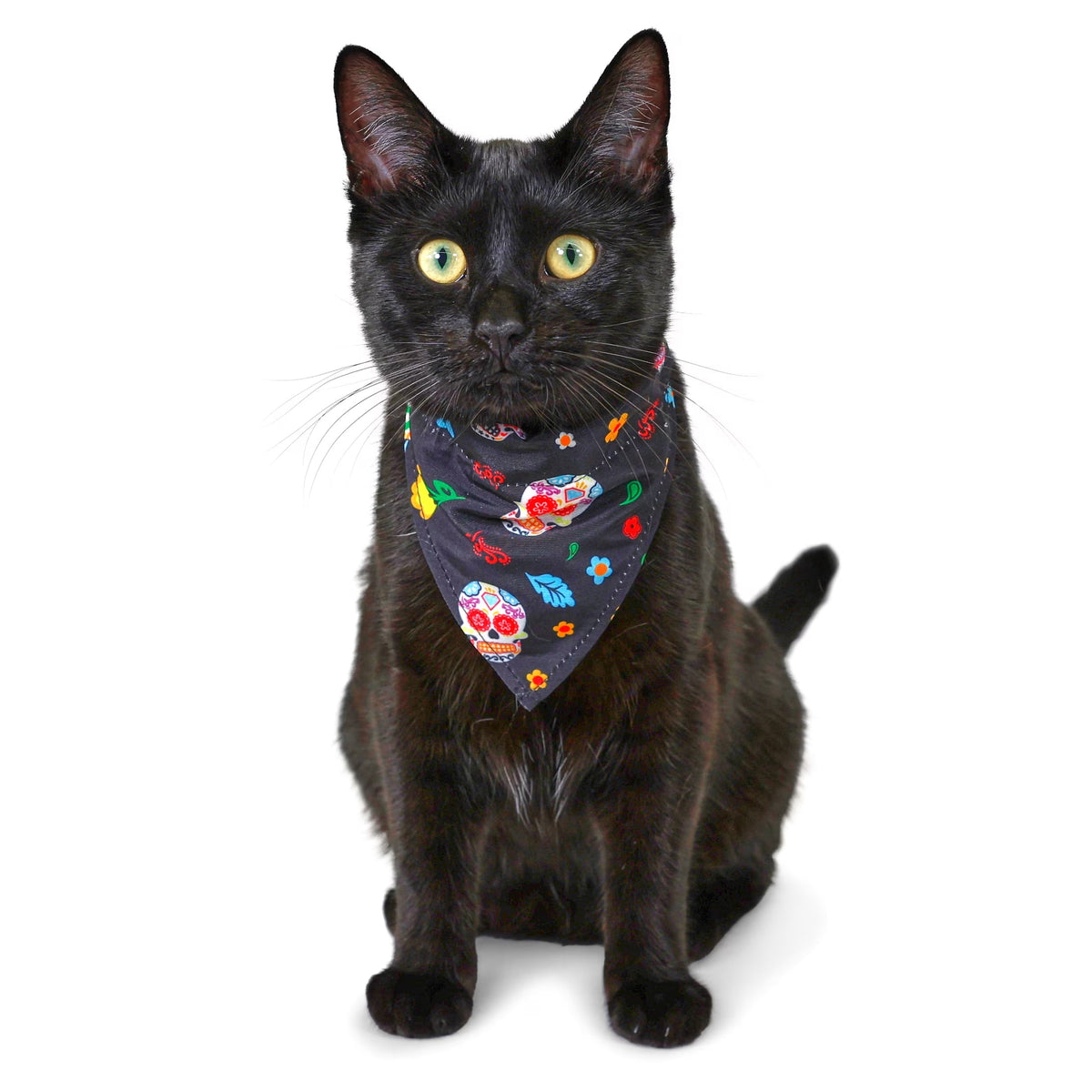 Vibrant Life Halloween Cat Collar Slider Set with Bandana and Bow Tie, Day of the Dead, Black, One Size, 3 Pieces