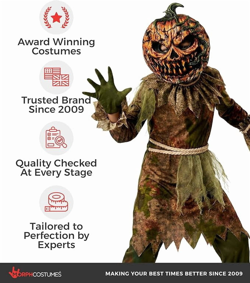 Morph Scarecrow Pumpkin Boys Halloween Costume for Boy Brown Large