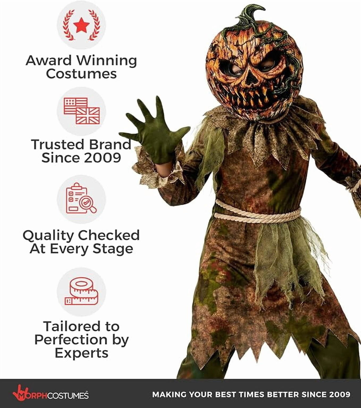 Morph Scarecrow Pumpkin Boys Halloween Costume for Boy Brown Large