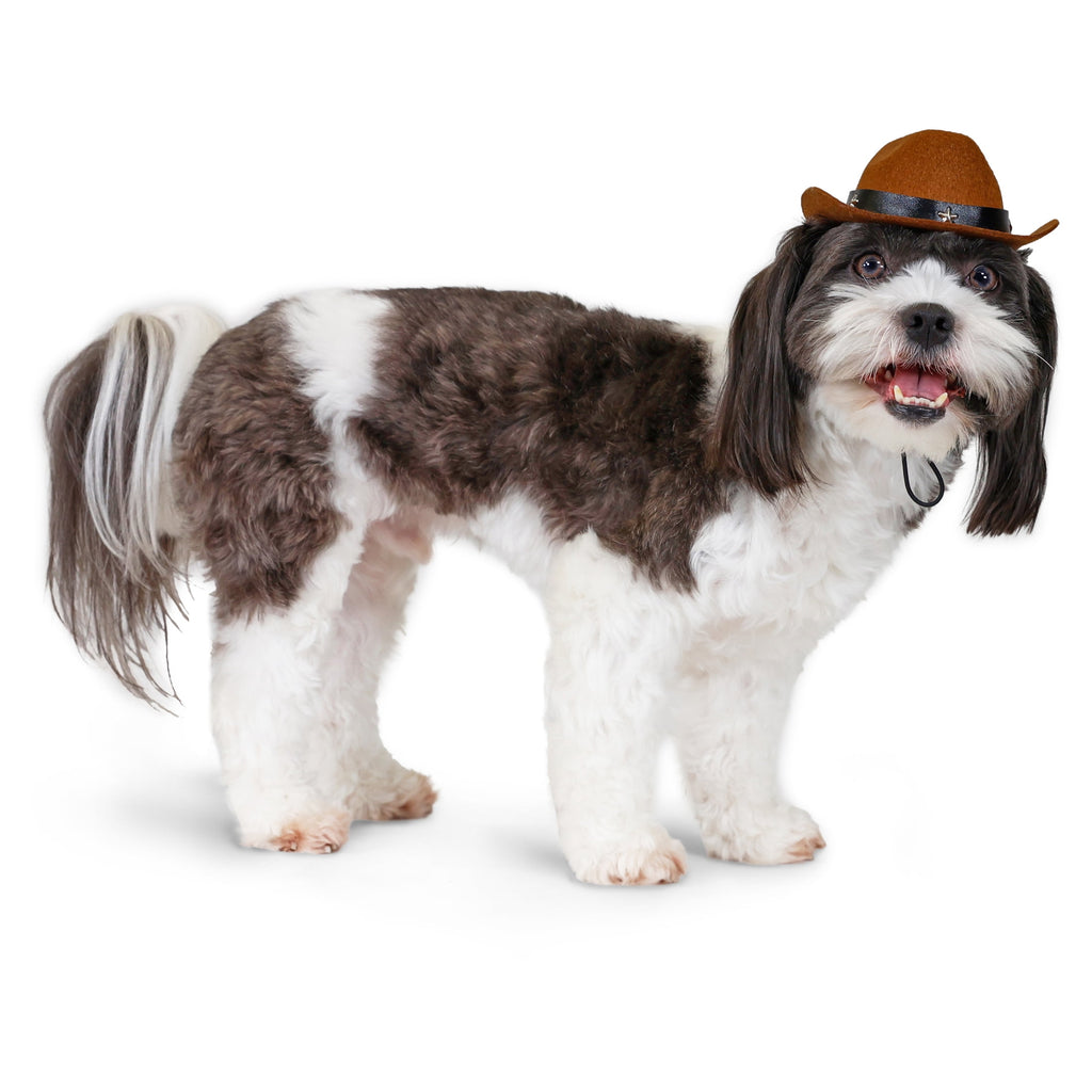 Vibrant Life Halloween Pet Cowboy Hat Costume Accessory for Dogs & Cats, Brown, XS/S