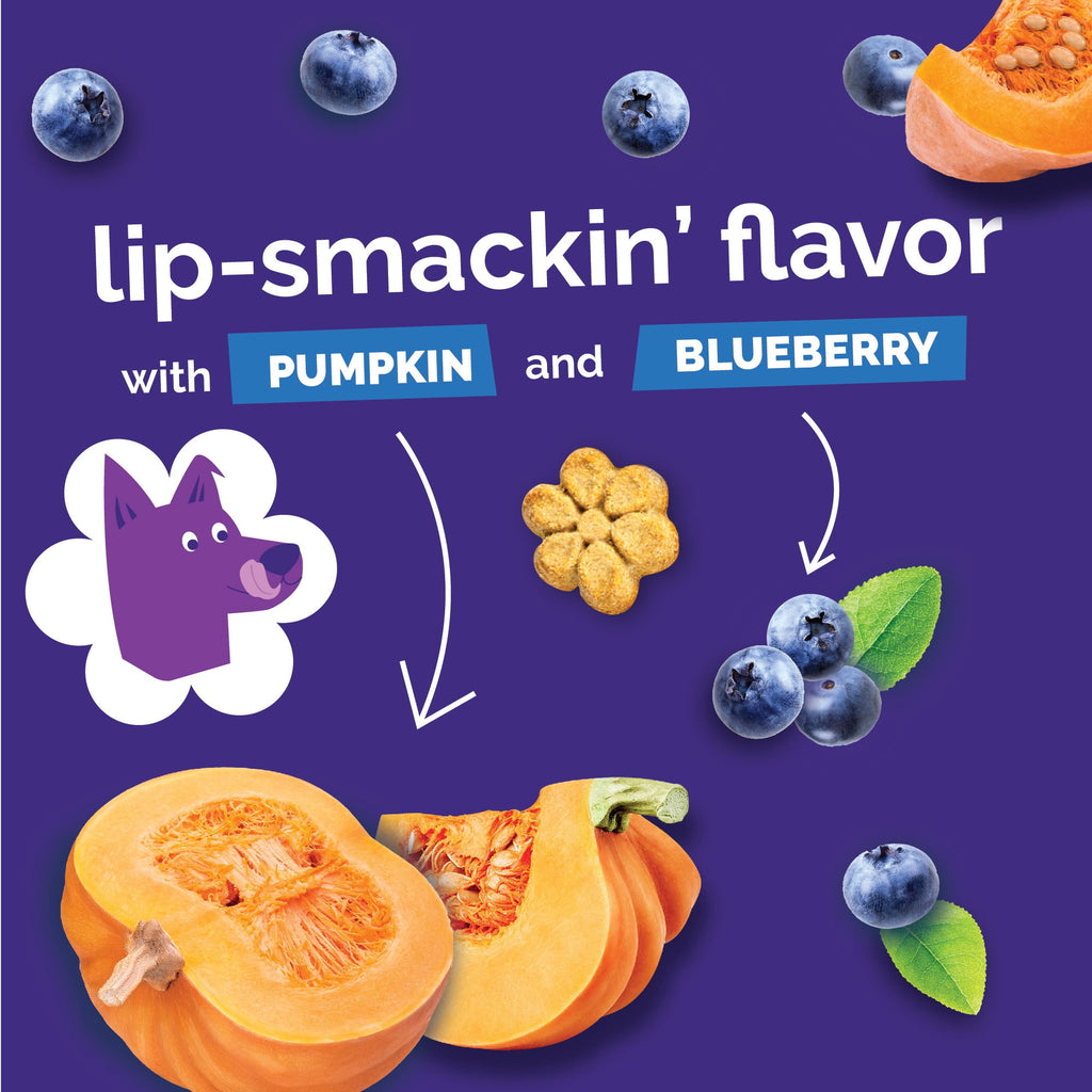 Fruitables Baked Pumpkin & Blueberry Flavor Treats for Dogs - 7 oz