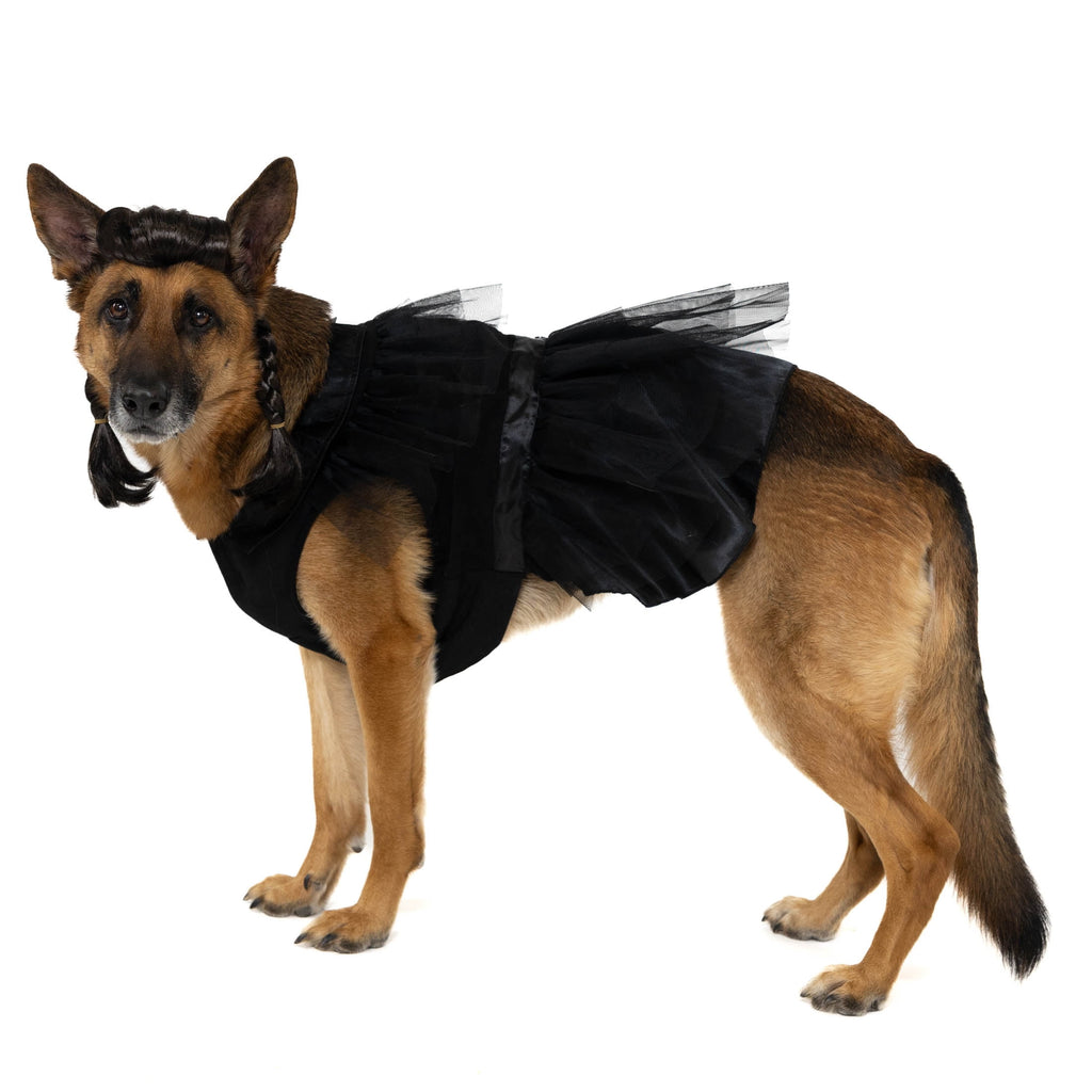 Vibrant Life Halloween Gothic Girl Costume for Dogs, Black, Large
