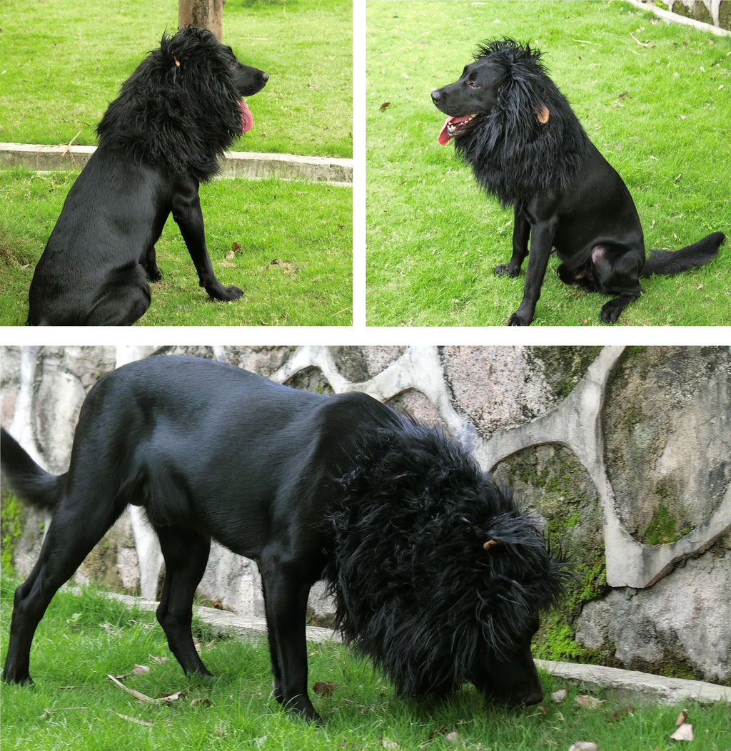 Lion Mane Wig for Dogs, Funny Pet Cat Costumes, Furry Dog Clothing Accessories (Size M,Grey)