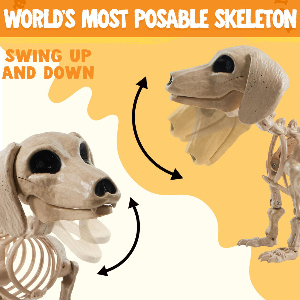 Joyfy 9.8 Inch Halloween Skeleton Dog Skeleton Halloween Decor,Pose-N-Stay Plastic Skeleton Bones with Posable Joints for Hallowmas Decoration Outdoor Haunted House Party