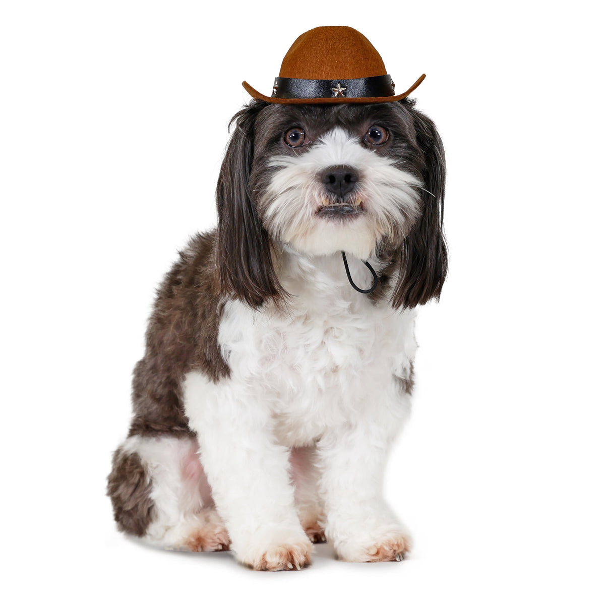 Vibrant Life Halloween Pet Cowboy Hat Costume Accessory for Dogs & Cats, Brown, XS/S