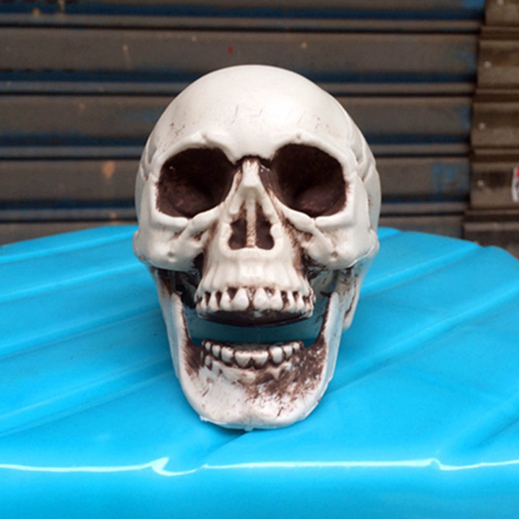 Darzheoy Halloween Skull Model Realistic Fake Simulation Human Skull Head Model Halloween Prop Realistic Mini Skeleton Spooky Halloween Decoration