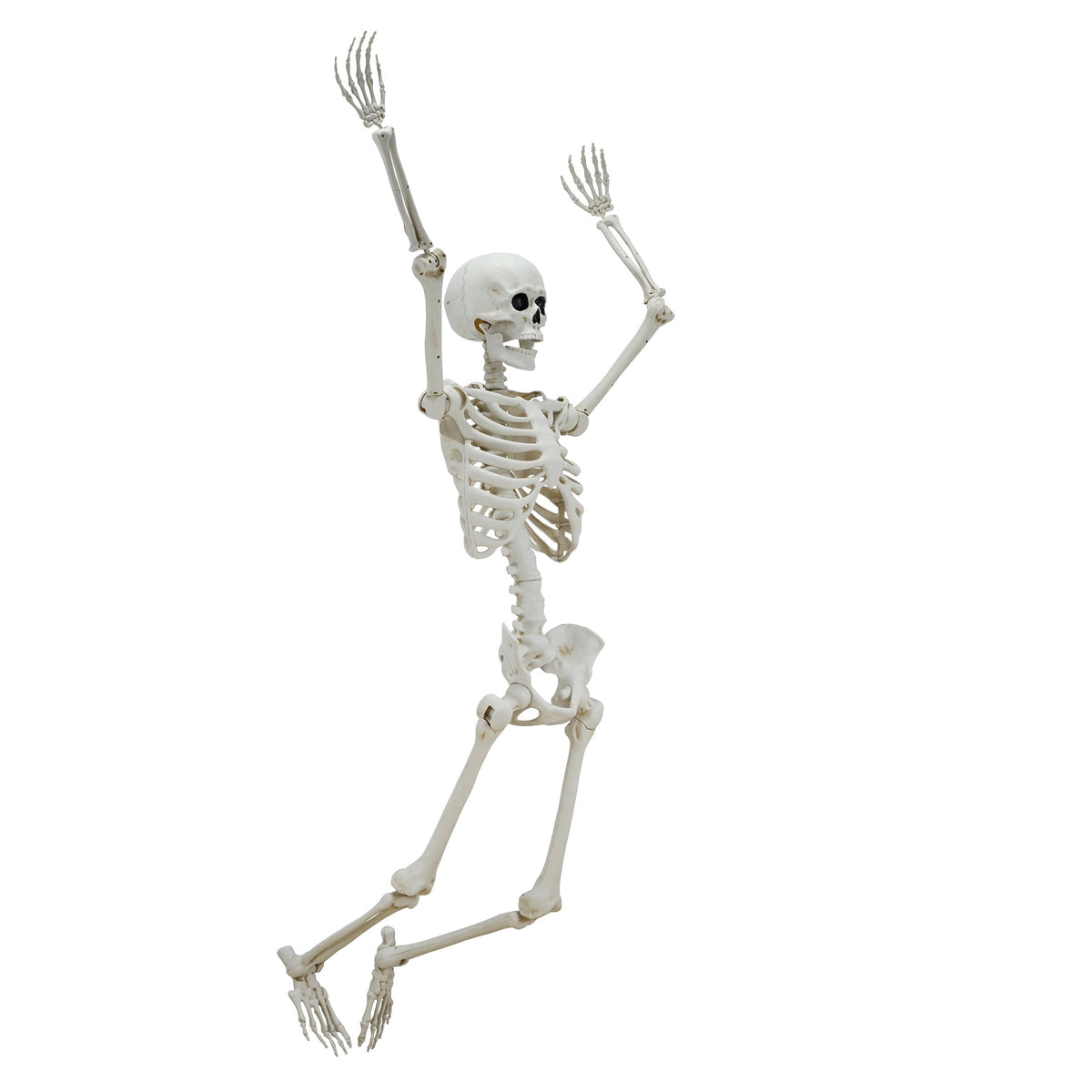 Hanging Posable Skeleton Decoration, White, 5', Halloween by Way To Celebrate