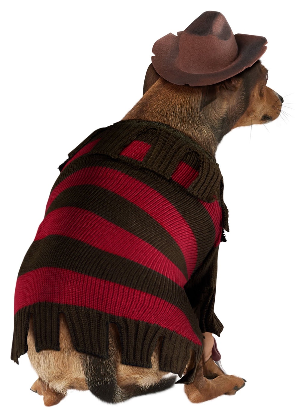 A Nightmare on Elm Street Freddy Krueger Pet Costume for Dogs or Cats by Rubies, XL