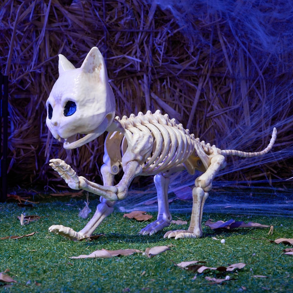 Joyfy 2 Pcs Cat Skeleton Halloween Decoration,7 Inch Posable Plastic Animals Halloween Skeleton for Indoor Outdoor Halloween Decorations,Haunted House Party Props
