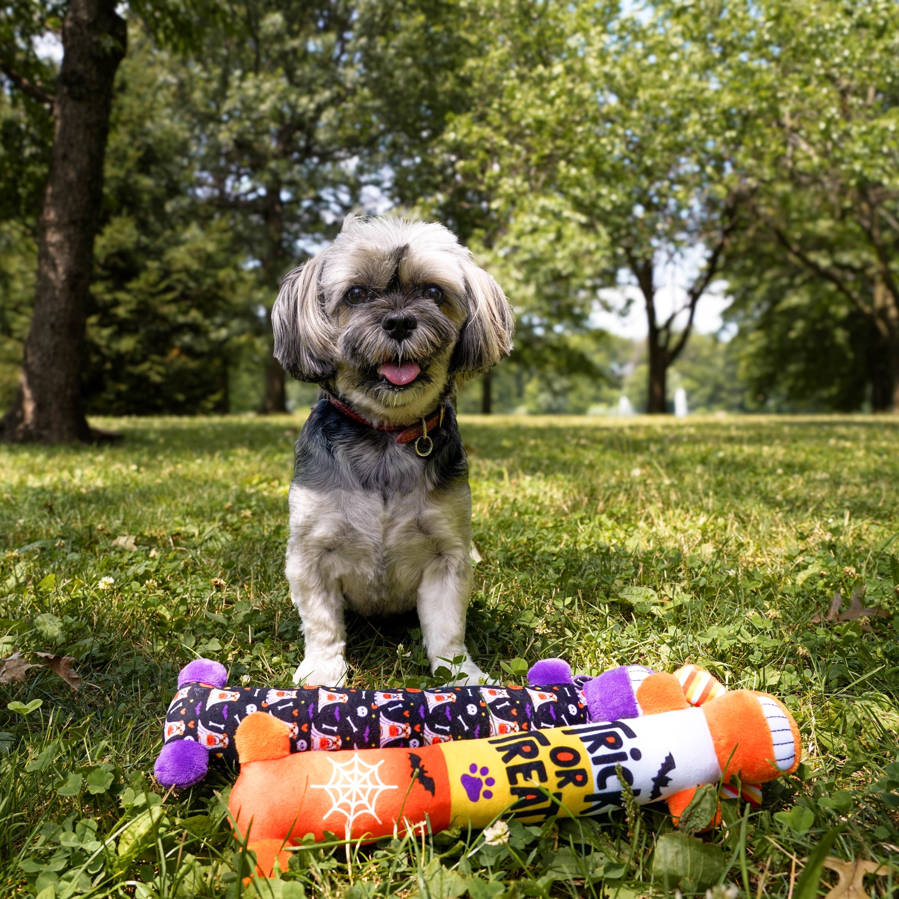 Multipet Halloween 6” Smiling Dog 3pc Dog Toy Value Pack