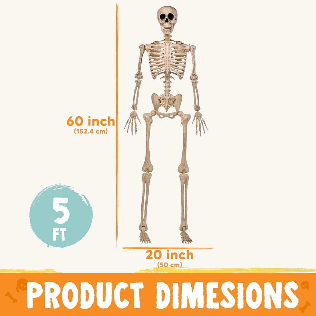 Joyfy 24 Inch Halloween Skeleton Decor with LED Light Eyes,Posable Skeleton Halloween Prop Full Body with Movable Joints for Haunted House Indoor Outdoor Decoration Spooky Decor