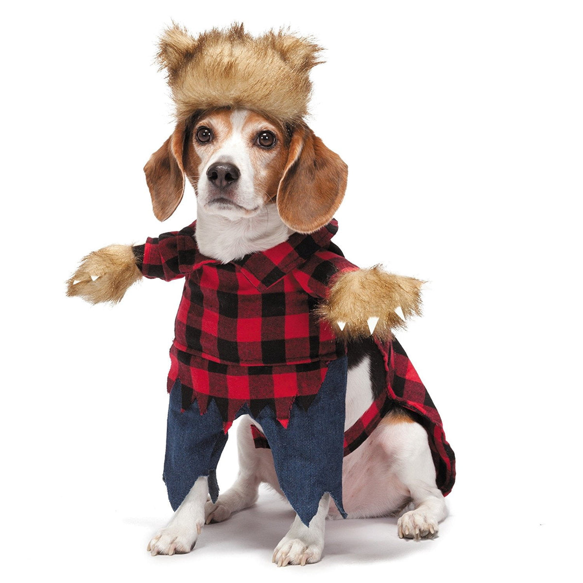 Zack & Zoey Werewolf Costume for Dogs, X-Small