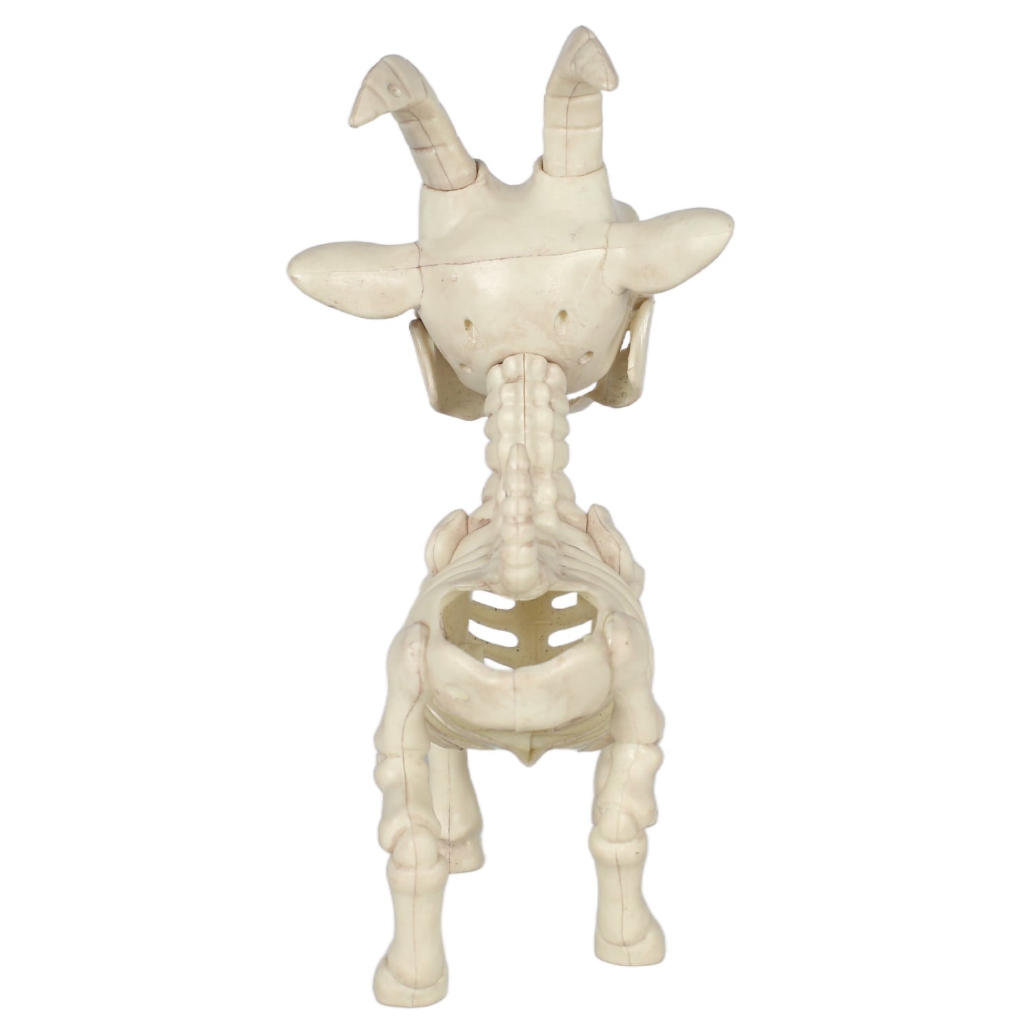 Seasons Skeleton Pygmy Goat Halloween Decoration for Crazy Bonez Skeleton Line