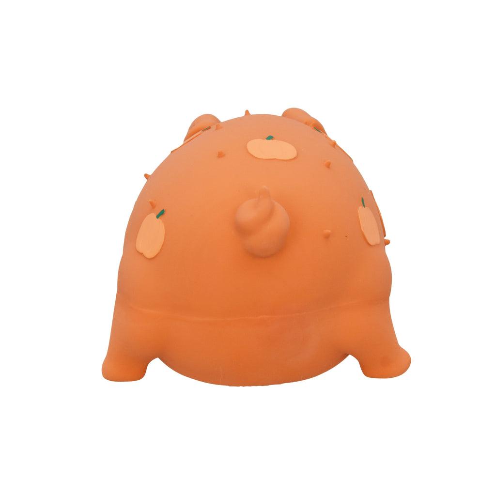 Vibrant Life Halloween Pigglesworth with Skulls Dog Toy