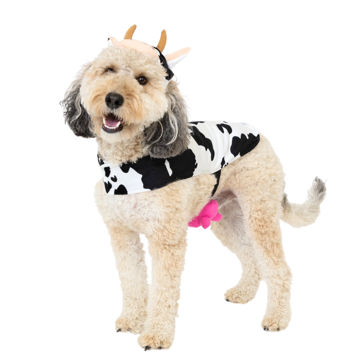 Vibrant Life Halloween Costume for Dogs & Cats, Cow, Black & White, Extra Small