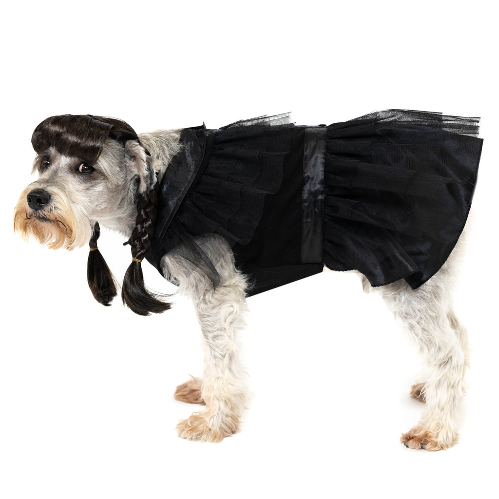 Vibrant Life Halloween Gothic Girl Costume for Dogs, Black, Large