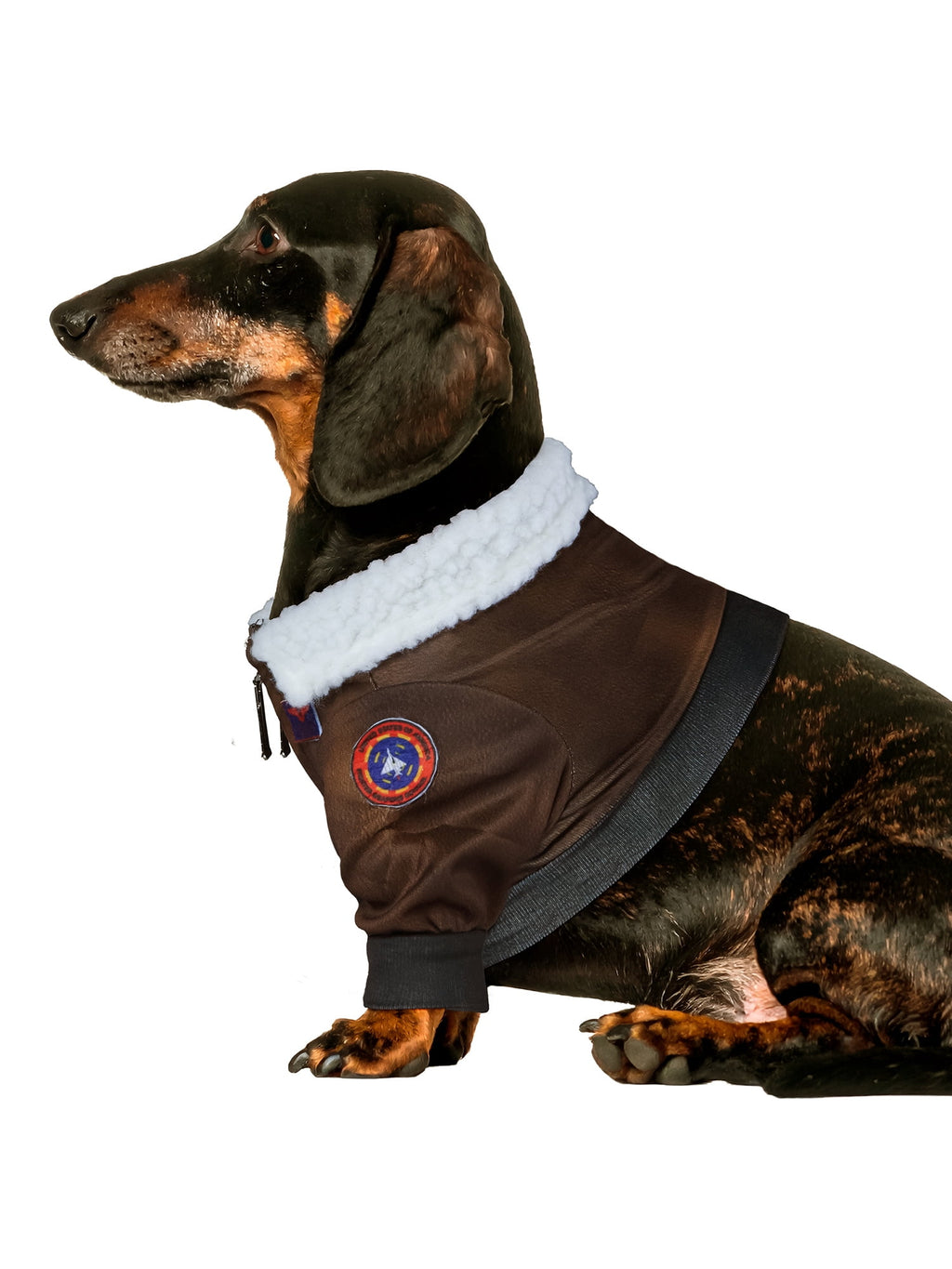 Top Gun Pet Costume for Dogs or Cats by Rubies, XS