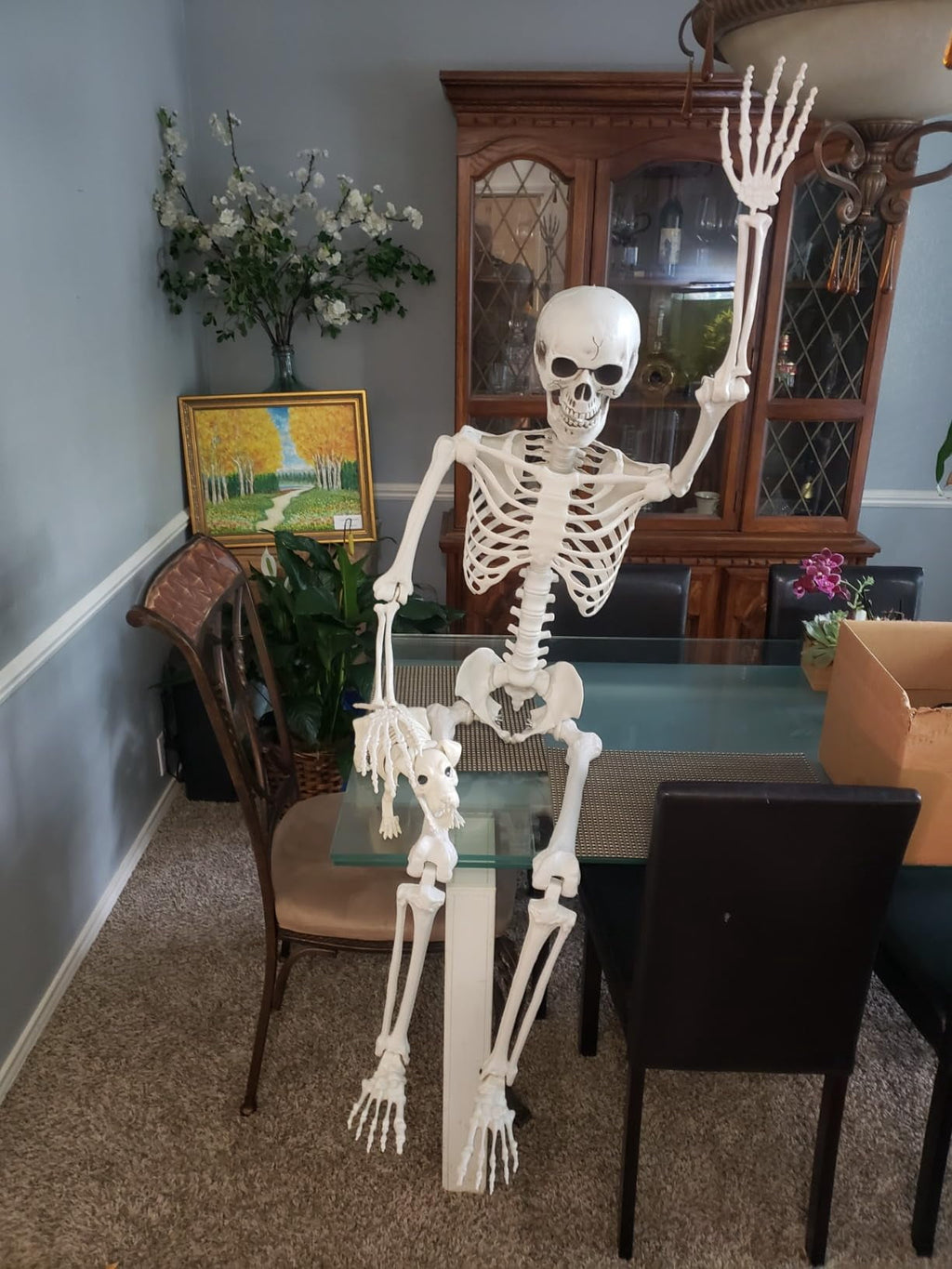 AGCAN 4 Packs Posable Halloween Hanging Skeleton Decoration, 16 Inch Halloween Decorations with Movable Joints for Graveyard Haunted House Props Decor Indoor Outdoor