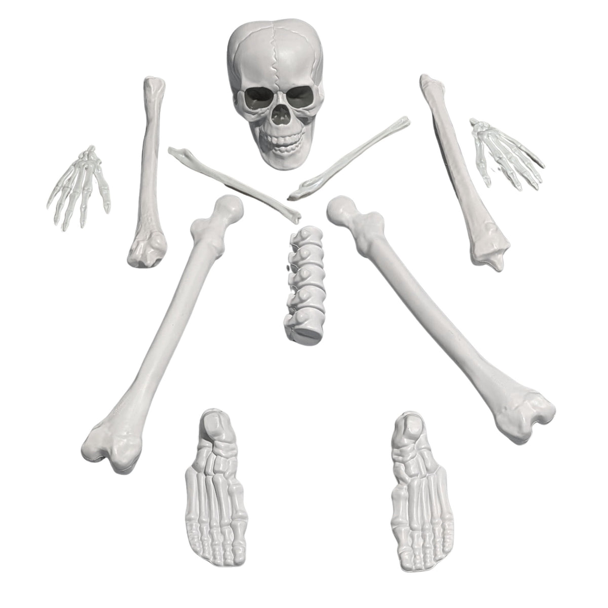 Faux Bag of Bones, 12 Pieces, Halloween by Way To Celebrate