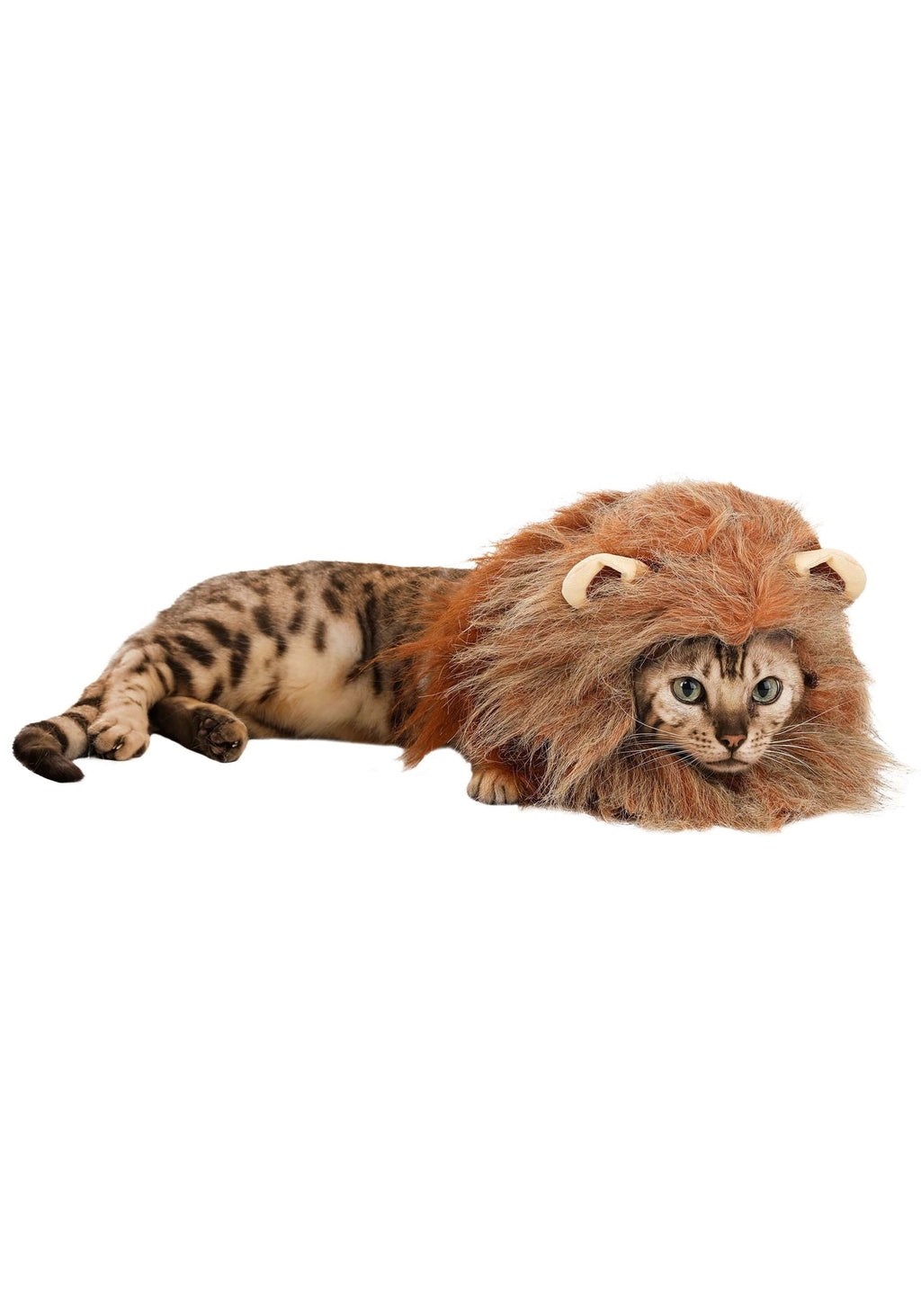Lion Dog Costume, Pet Zoo Animal Outfit