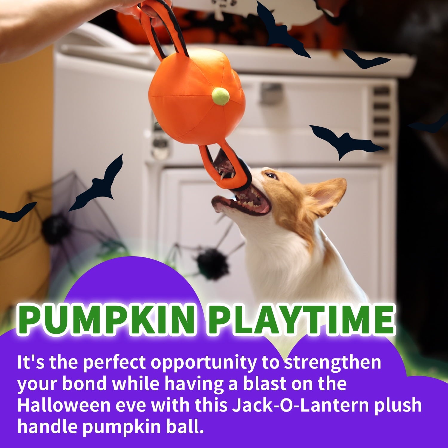 All For Paws Halloween 4-Pack Dog Toy Set - Gift Box Includes Dog Lick Mat, Puppy Squeaky Firehose Toy, Latex Dog Chew Toy & Dog Treat Dispenser
