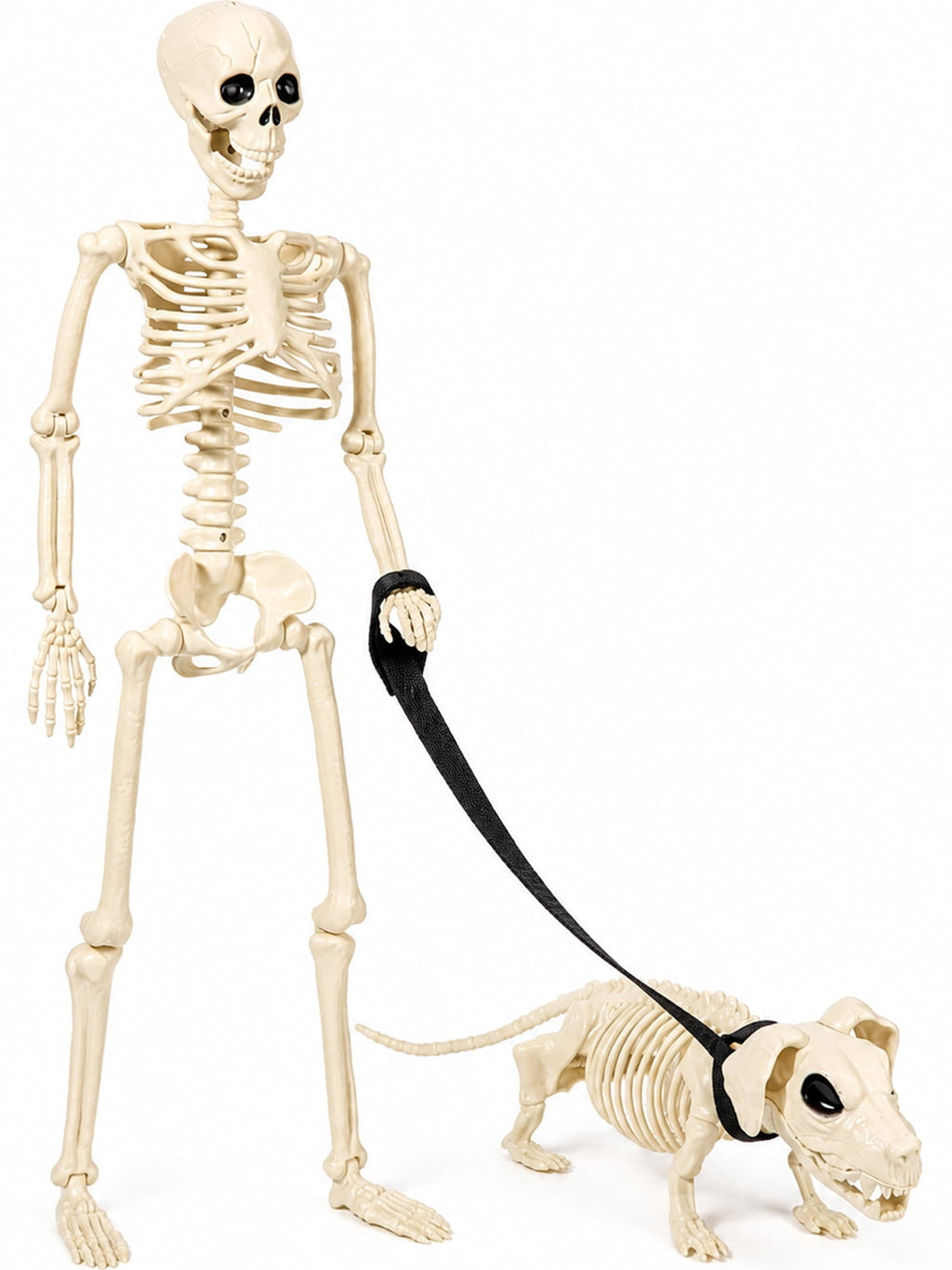 DAKIMOE Halloween Outdoor Decoration Skeleton with Skeleton Dog & Leash 2.9 Ft Skeleton Walking Dog Halloween Party Decoration Yard Lawn Garden Patio Party Decor