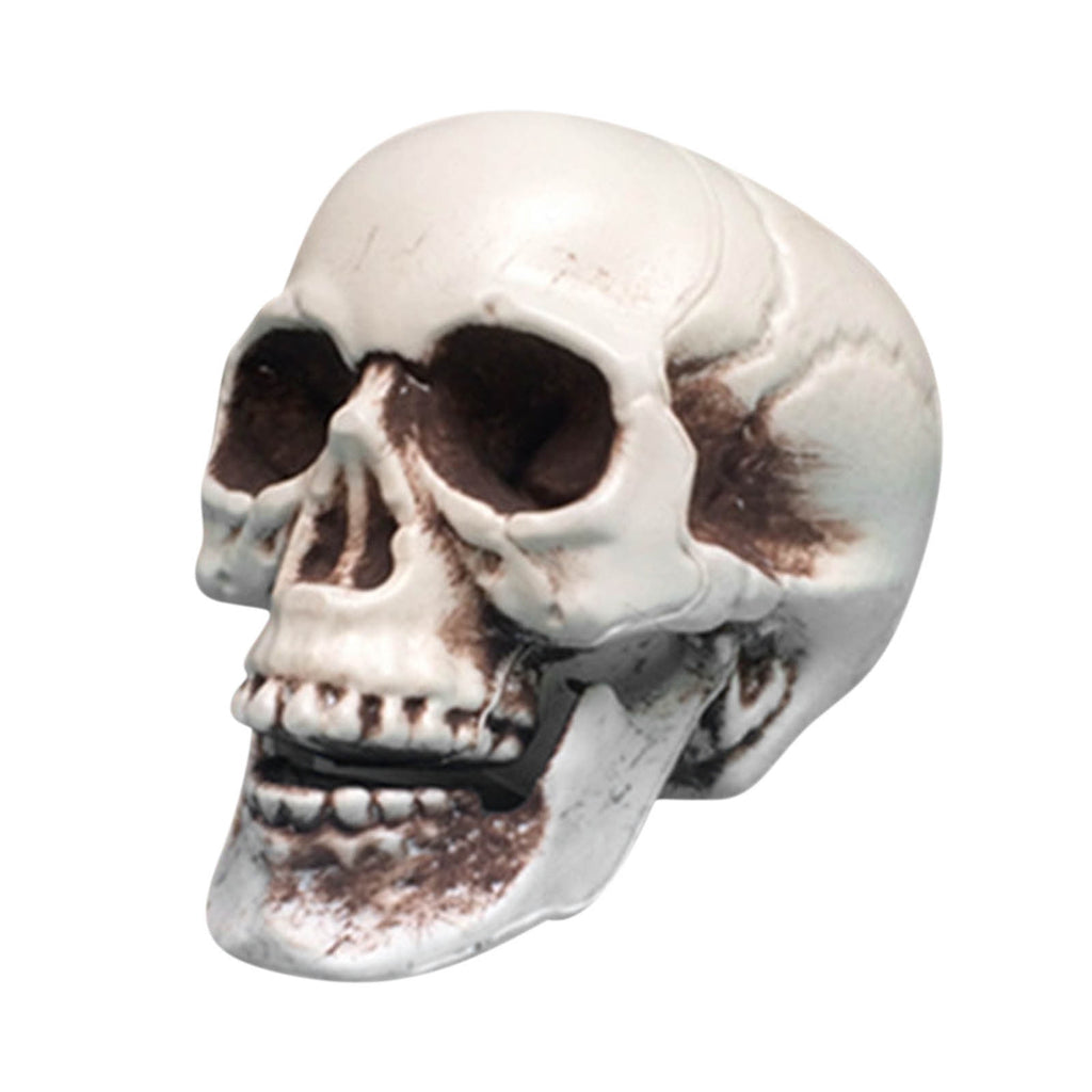 Darzheoy Halloween Skull Model Realistic Fake Simulation Human Skull Head Model Halloween Prop Realistic Mini Skeleton Spooky Halloween Decoration