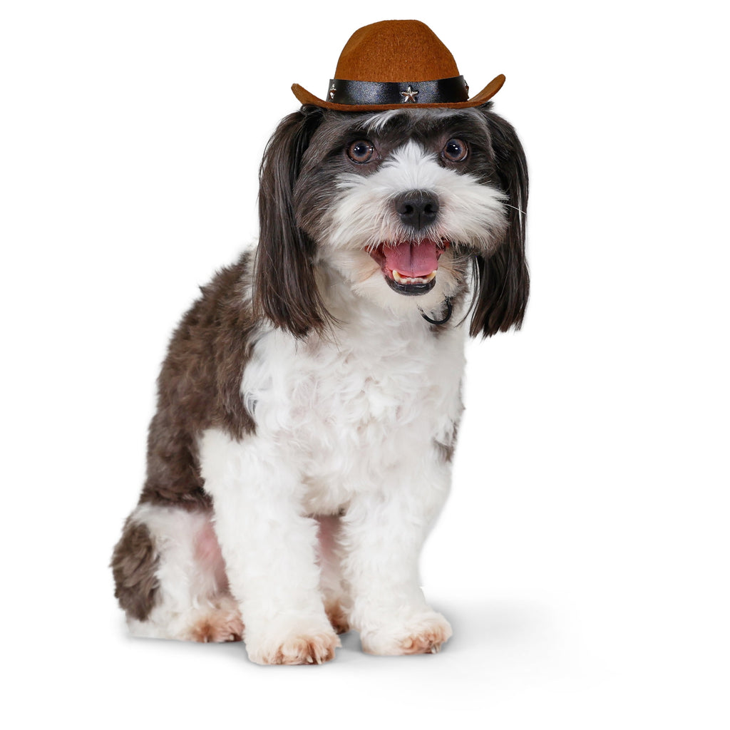 Vibrant Life Halloween Pet Cowboy Hat Costume Accessory for Dogs & Cats, Brown, XS/S