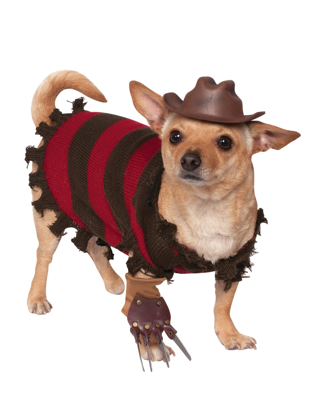 A Nightmare on Elm Street Freddy Krueger Pet Costume for Dogs or Cats by Rubies, XL